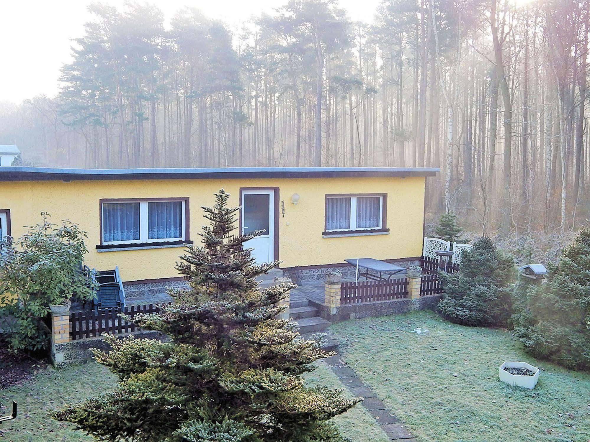 Ferienhus Baabe Fewo 01 Terrasse, Sauna- Und Schwimmbadnutzung Im Ahoi Sellin Eksteriør billede